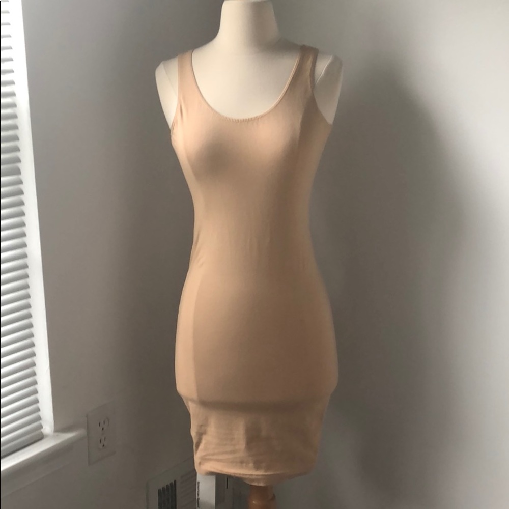 American Apparel Nude Dress